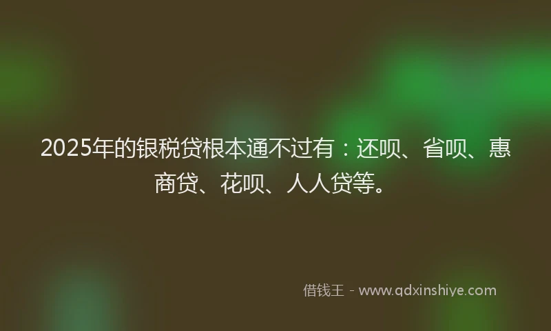 2025年的银税贷根本通不过有：还呗、省呗、惠商贷、花呗、人人贷等。