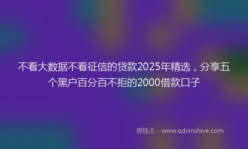 不看大数据不看征信的贷款2025年精选，分享五个黑户百分百不拒的2000借款口子