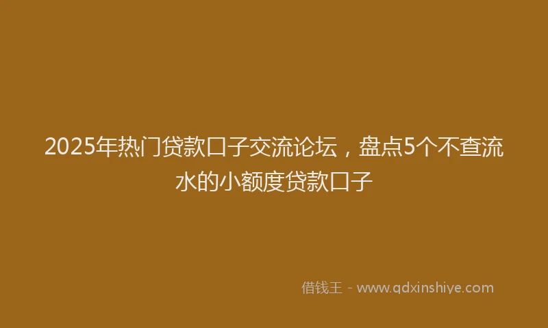 2025年热门贷款口子交流论坛，盘点5个不查流水的小额度贷款口子
