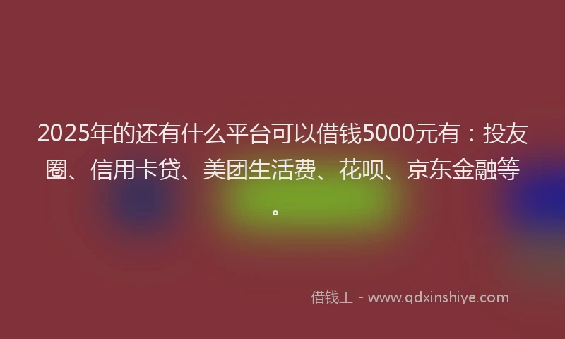 2025年的还有什么平台可以借钱5000元有：投友圈、信用卡贷、美团生活费、花呗、京东金融等。