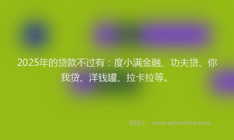 2025年的贷款不过有：度小满金融、功夫贷、你我贷、洋钱罐、拉卡拉等。