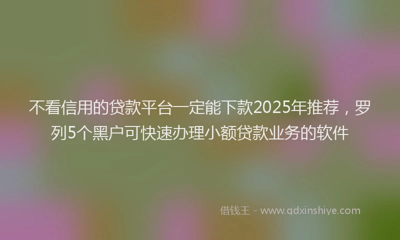 不看信用的贷款平台一定能下款2025年推荐，罗列5个黑户可快速办理小额贷款业务的软件