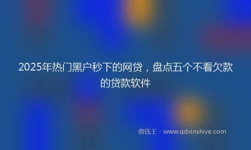 2025年热门黑户秒下的网贷，盘点五个不看欠款的贷款软件