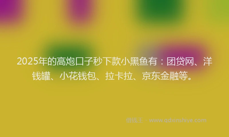 2025年的高炮口子秒下款小黑鱼有：团贷网、洋钱罐、小花钱包、拉卡拉、京东金融等。
