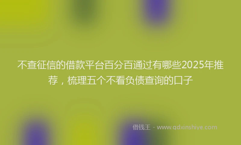 不查征信的借款平台百分百通过有哪些2025年推荐，梳理五个不看负债查询的口子