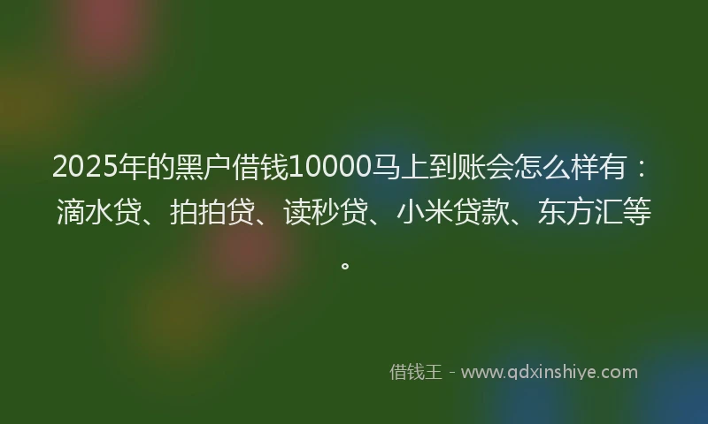 2025年的黑户借钱10000马上到账会怎么样有：滴水贷、拍拍贷、读秒贷、小米贷款、东方汇等。