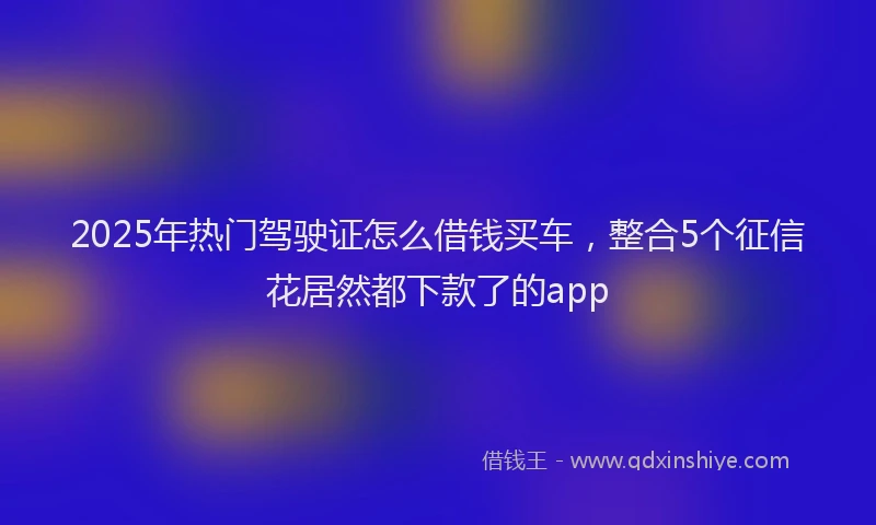 2025年热门驾驶证怎么借钱买车，整合5个征信花居然都下款了的app