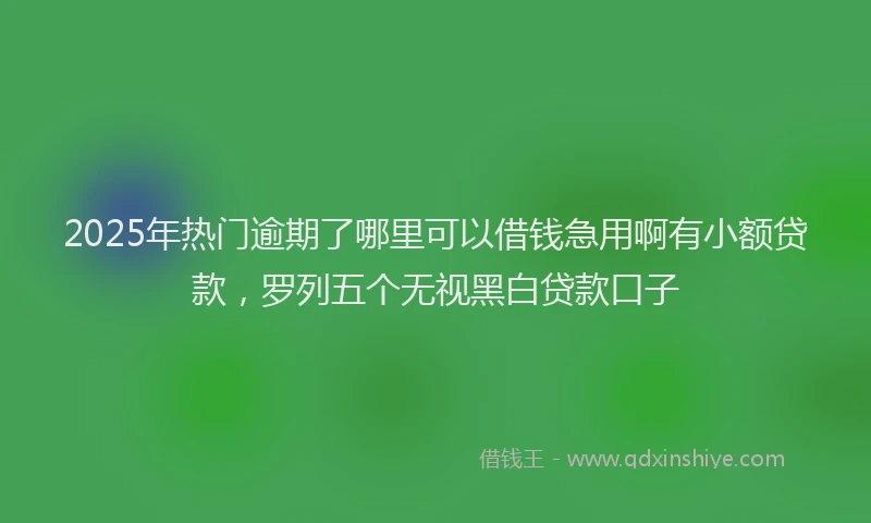 2025年热门逾期了哪里可以借钱急用啊有小额贷款，罗列五个无视黑白贷款口子