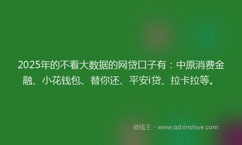 2025年的不看大数据的网贷口子有：中原消费金融、小花钱包、替你还、平安i贷、拉卡拉等。