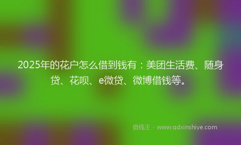 2025年的花户怎么借到钱有:美团生活费、随身贷、花呗、e微贷、微博借钱等。