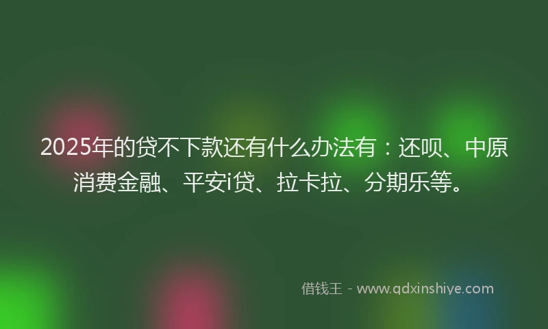 2025年的贷不下款还有什么办法有：还呗、中原消费金融、平安i贷、拉卡拉、分期乐等。