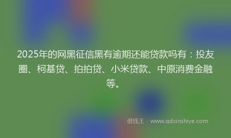 2025年的网黑征信黑有逾期还能贷款吗有：投友圈、柯基贷、拍拍贷、小米贷款、中原消费金融等。