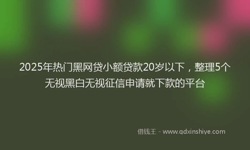 2025年热门黑网贷小额贷款20岁以下，整理5个无视黑白无视征信申请就下款的平台