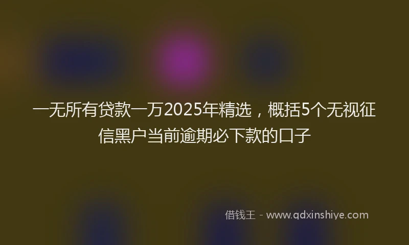 一无所有贷款一万2025年精选，概括5个无视征信黑户当前逾期必下款的口子
