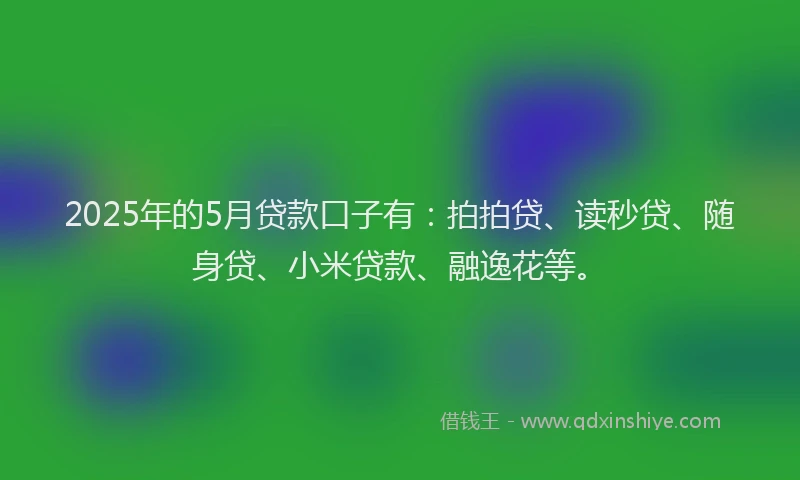 2025年的5月贷款口子有：拍拍贷、读秒贷、随身贷、小米贷款、融逸花等。