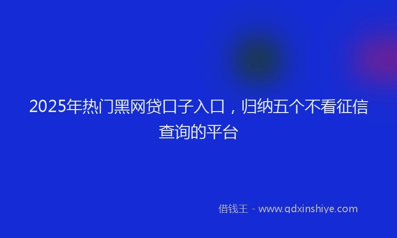 2025年热门黑网贷口子入口，归纳五个不看征信查询的平台