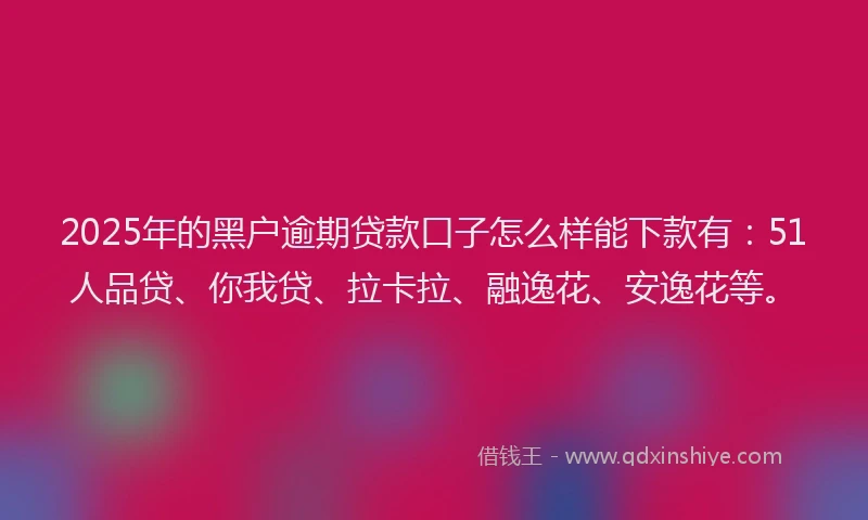 2025年的黑户逾期贷款口子怎么样能下款有：51人品贷、你我贷、拉卡拉、融逸花、安逸花等。