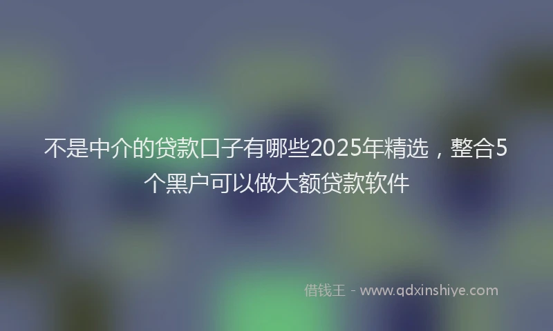 不是中介的贷款口子有哪些2025年精选，整合5个黑户可以做大额贷款软件