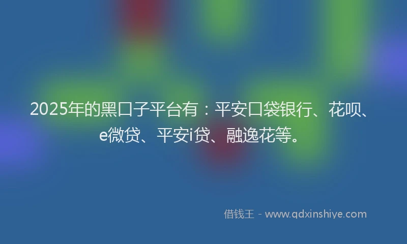 2025年的黑口子平台有：平安口袋银行、花呗、e微贷、平安i贷、融逸花等。