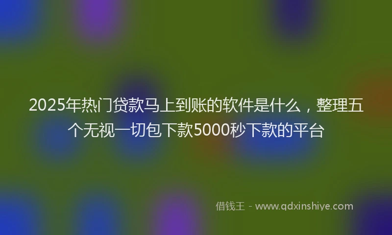 2025年热门贷款马上到账的软件是什么，整理五个无视一切包下款5000秒下款的平台