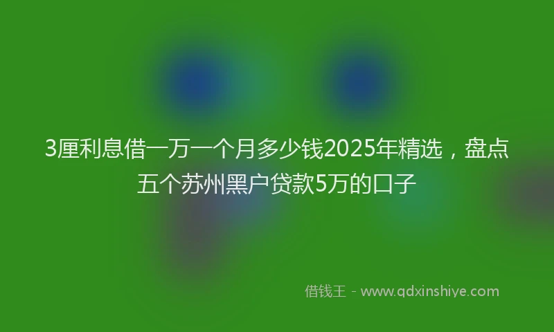 3厘利息借一万一个月多少钱2025年精选，盘点五个苏州黑户贷款5万的口子