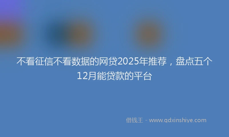不看征信不看数据的网贷2025年推荐，盘点五个12月能贷款的平台