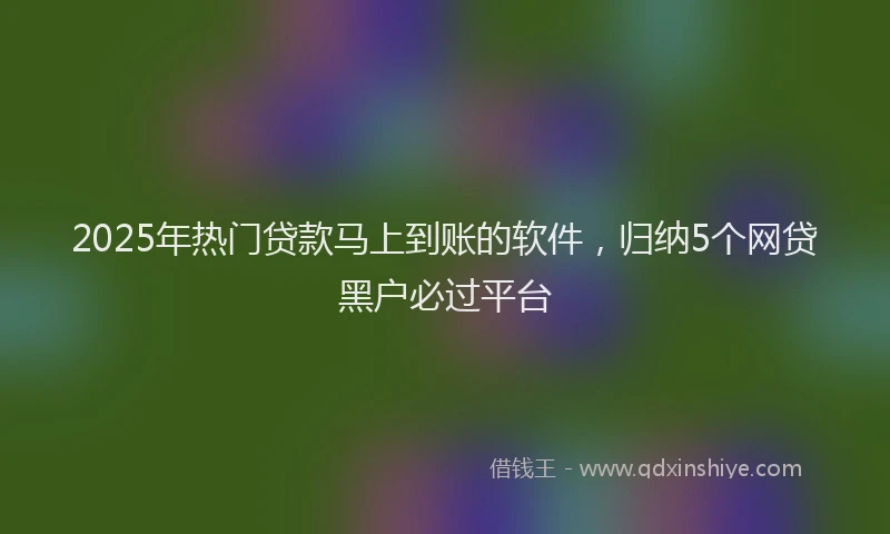 2025年热门贷款马上到账的软件，归纳5个网贷黑户必过平台