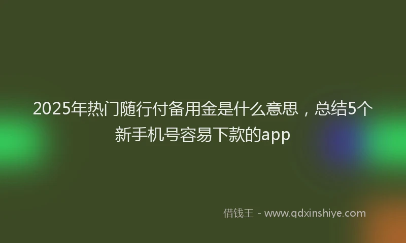 2025年热门随行付备用金是什么意思，总结5个新手机号容易下款的app