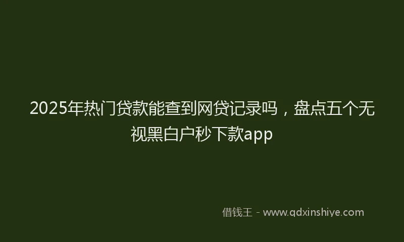 2025年热门贷款能查到网贷记录吗，盘点五个无视黑白户秒下款app