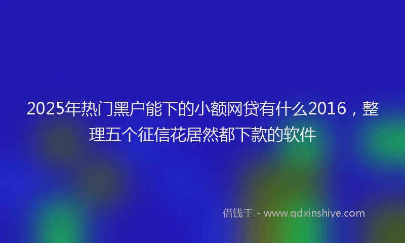 2025年热门黑户能下的小额网贷有什么2016，整理五个征信花居然都下款的软件