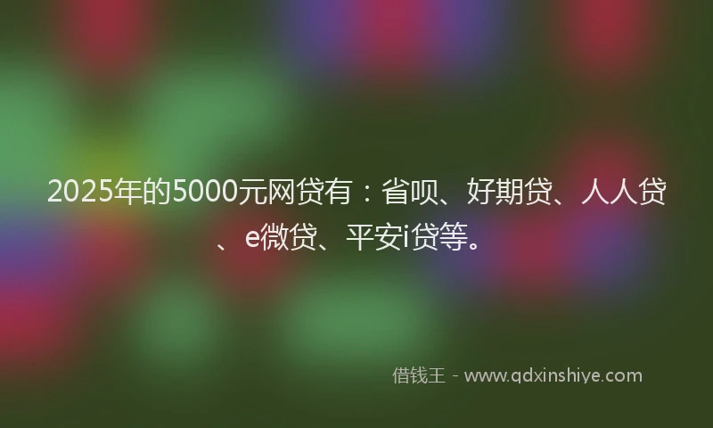 2025年的5000元网贷有：省呗、好期贷、人人贷、e微贷、平安i贷等。