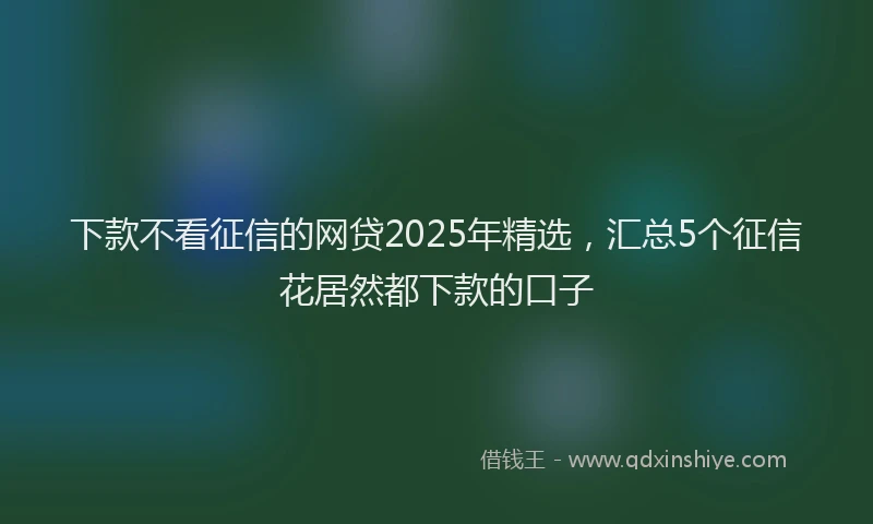 下款不看征信的网贷2025年精选，汇总5个征信花居然都下款的口子