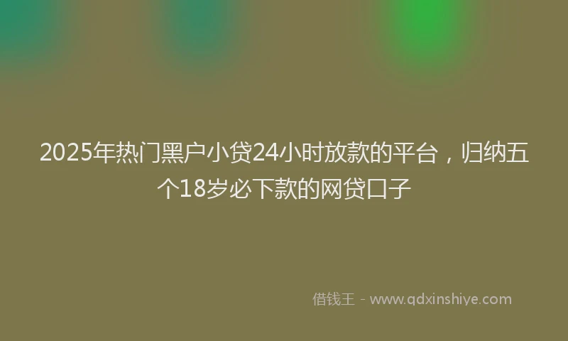 2025年热门黑户小贷24小时放款的平台，归纳五个18岁必下款的网贷口子