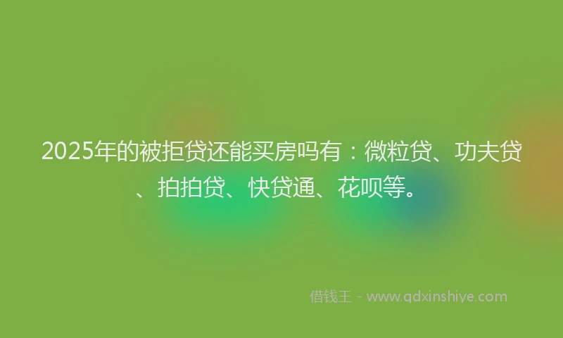 2025年的被拒贷还能买房吗有：微粒贷、功夫贷、拍拍贷、快贷通、花呗等。