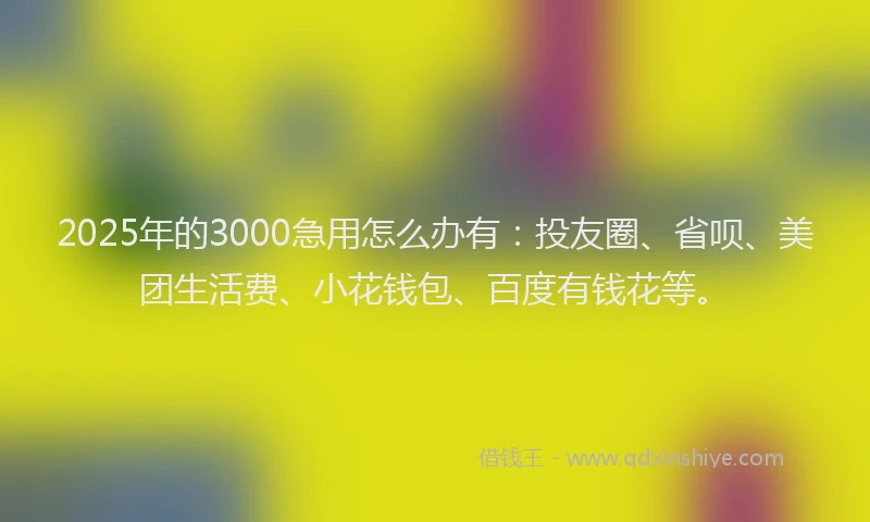 2025年的3000急用怎么办有：投友圈、省呗、美团生活费、小花钱包、百度有钱花等。