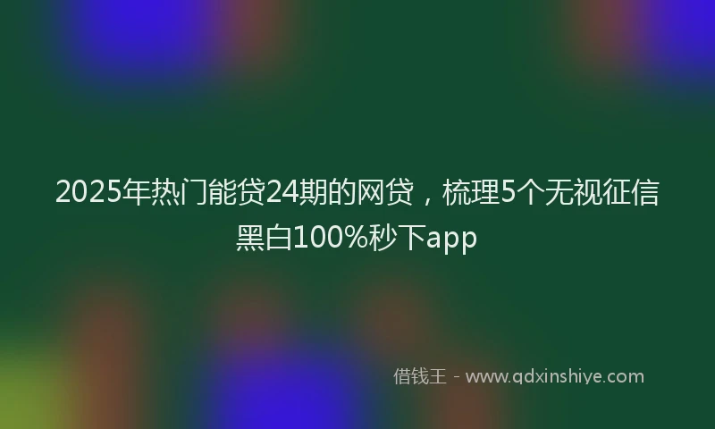 2025年热门能贷24期的网贷，梳理5个无视征信黑白100%秒下app