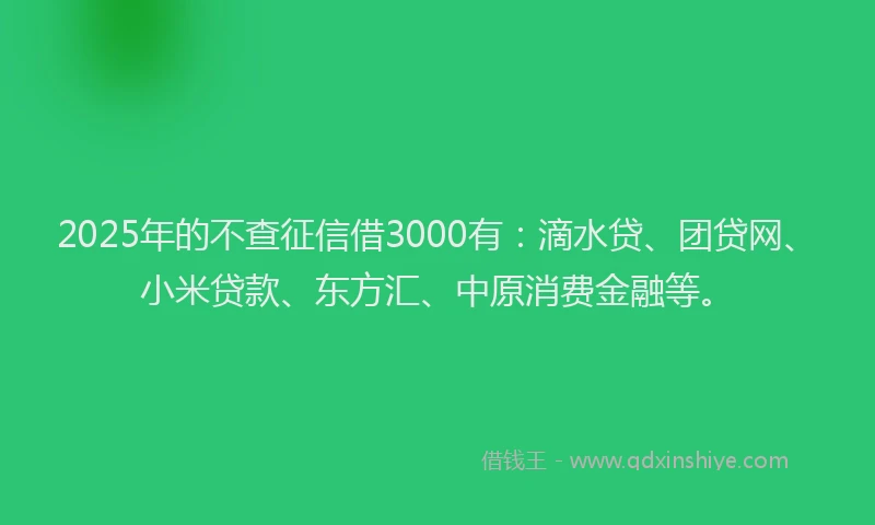 2025年的不查征信借3000有：滴水贷、团贷网、小米贷款、东方汇、中原消费金融等。