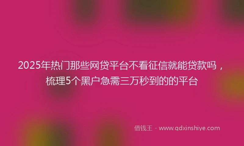 2025年热门那些网贷平台不看征信就能贷款吗，梳理5个黑户急需三万秒到的的平台