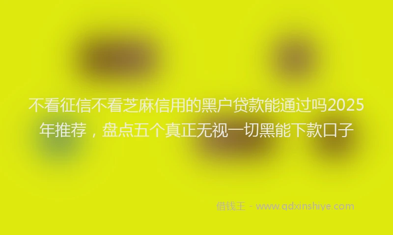 不看征信不看芝麻信用的黑户贷款能通过吗2025年推荐，盘点五个真正无视一切黑能下款口子