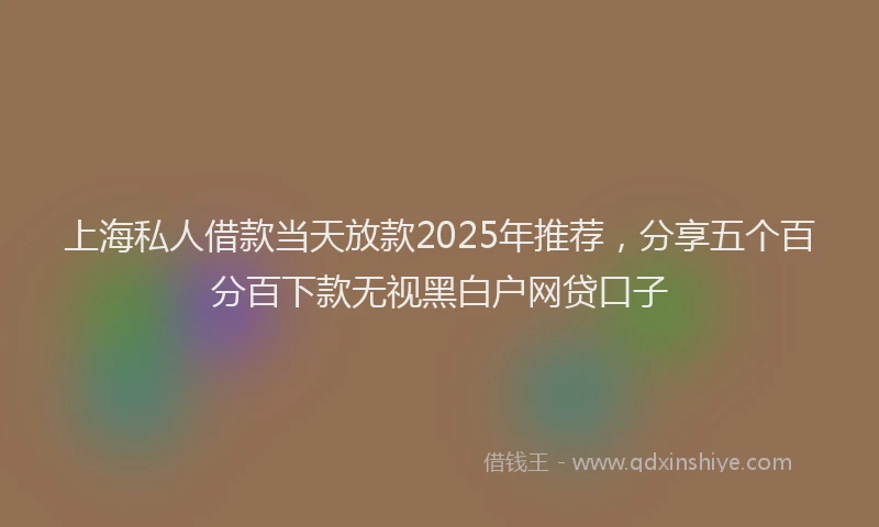 上海私人借款当天放款2025年推荐，分享五个百分百下款无视黑白户网贷口子