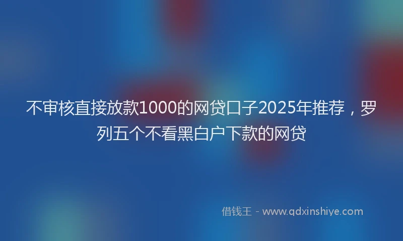 不审核直接放款1000的网贷口子2025年推荐，罗列五个不看黑白户下款的网贷