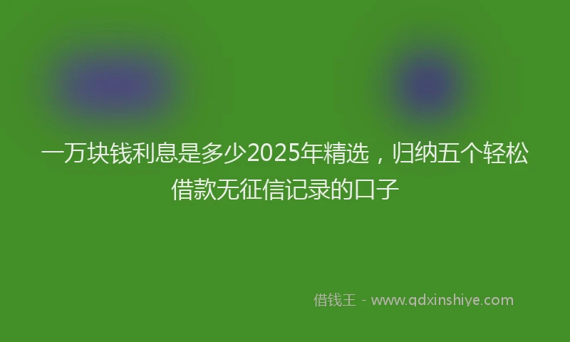 一万块钱利息是多少2025年精选，归纳五个轻松借款无征信记录的口子