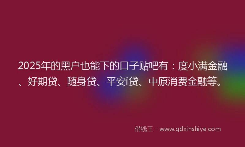 2025年的黑户也能下的口子贴吧有：度小满金融、好期贷、随身贷、平安i贷、中原消费金融等。