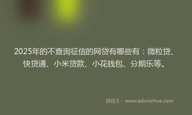 2025年的不查询征信的网贷有哪些有：微粒贷、快贷通、小米贷款、小花钱包、分期乐等。