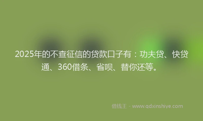 2025年的不查征信的贷款口子有：功夫贷、快贷通、360借条、省呗、替你还等。