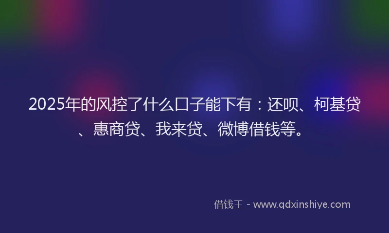 2025年的风控了什么口子能下有：还呗、柯基贷、惠商贷、我来贷、微博借钱等。