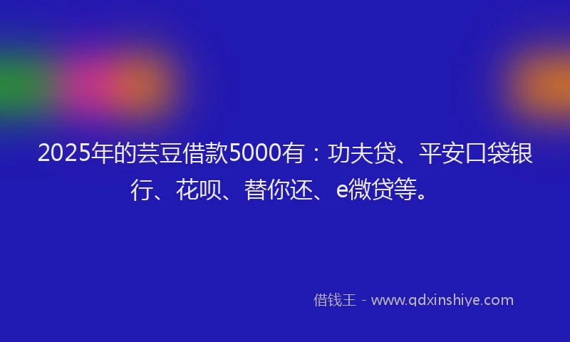 2025年的芸豆借款5000有：功夫贷、平安口袋银行、花呗、替你还、e微贷等。