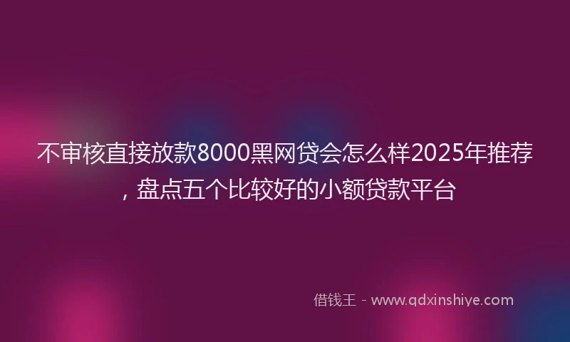 不审核直接放款8000黑网贷会怎么样2025年推荐，盘点五个比较好的小额贷款平台