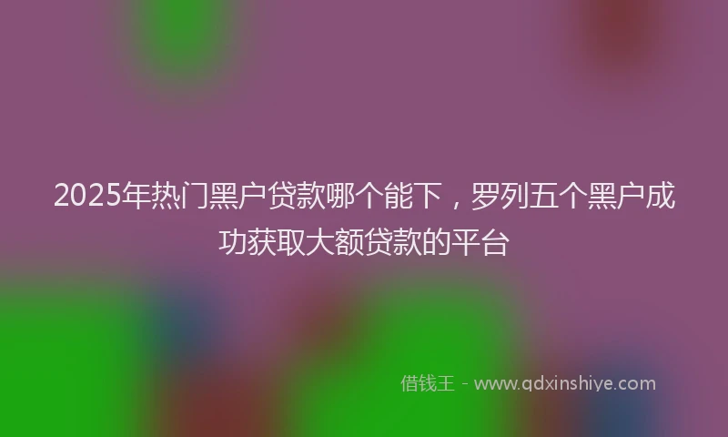 2025年热门黑户贷款哪个能下，罗列五个黑户成功获取大额贷款的平台