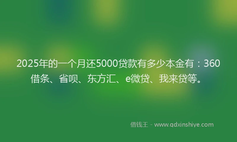 2025年的一个月还5000贷款有多少本金有：360借条、省呗、东方汇、e微贷、我来贷等。